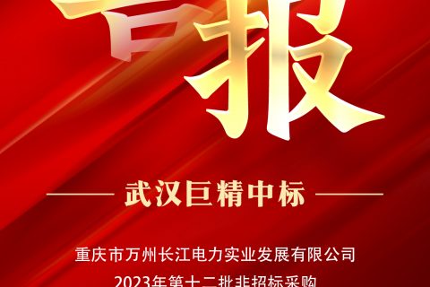 热烈祝贺尊龙凯时人生就是搏中标重庆市万州长江电力实业生长有限公司2023年第十二批非招标采购